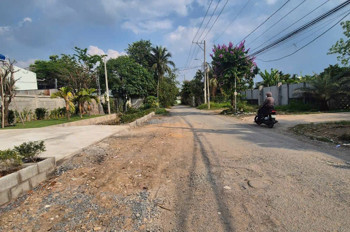 Đất 1/ Nhị Bình 2 – Gần 1.700M² Thổ – Đường Nhựa Tới Đất! Vị Trí Đẹp