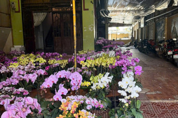 Cho Thuê Mặt Bằng Kinh Doanh Tại Gia Lai