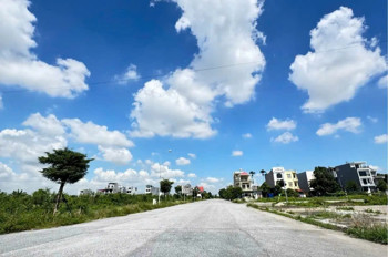 Bán Đất Biệt Thự Khu Nhà Ở Anh Dũng 5 – Hải Phòng – Vị Trí Đẹp – Giá Tốt