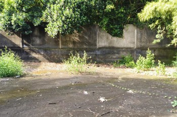 Bán Đất Tại Khu Phố Đông Tư Phường Lái Thiêu, Tp. Hcm. Giá Cực Chất 6,5 Tỷ Cho 268M2