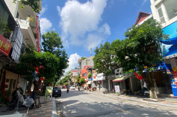 Chủ Cần Bán Nhà Mặt Phố Trần Hưng Đạo, Nhà 2 Tầng Cũ, Giá Rẻ Nhất Khu Vực 1 Chiều Sầm Uất, Giá 6,X