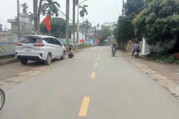 Hình Sao Đất Vậy - Nói Không Với Tin Ảochủ Cần Tiền Gấp Bán Lỗ 200Tr - Sát Đh Quốc Gia