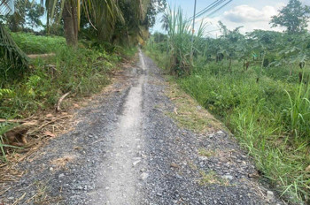 *** Đất Lúa Ấp 6 Bình Đức Bến Lức - Dt : 2000M2 — 1 Tỷ 6 Hết Diện Tích