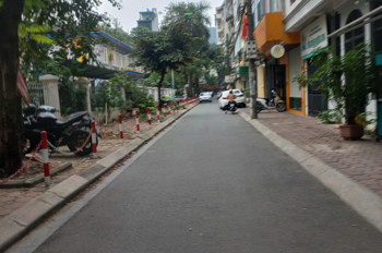 Cho Thuê Nhà Phân Lô Phố Đỗ Quang Giá 28 Tr/tháng