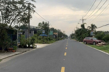 Quỹ Đất 2Ha Mặt Tiền Tỉnh Lộ 7 – Sát Ql22 – Giá Chỉ 2Tr/m² Vị Trí Siêu Đẹp