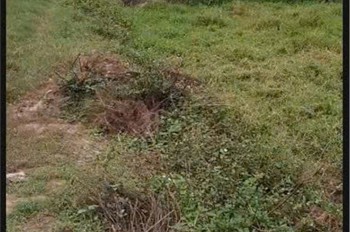 Đất Đẹp- Giá Tốt Chính Chủ Cần Bán Lô Đất Tiềm Năng Tại Huyện Quốc Oai, Tp Hà Nội