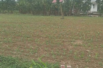 Đất Đẹp - Giá Tốt - Chính Chủ Cần Cần Bán Nhanh Lô Đất Tại Phường Phong Điền, Tp Huế