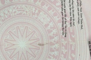 Đất Đẹp - Giá Tốt - Chính Chủ Cần Cần Bán Nhanh Lô Đất Tại Phường Phong Điền, Tp Huế