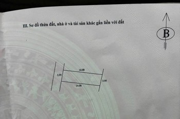 Sở Hữu Lô Đất Đẹp – An Cư Lý Tưởng - Tại Phụng Thượng - Phúc Thọ - Hà Nội