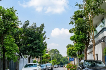 [Bán Đất] Biệt Thự Việt Hưng - 330M2 - Mặt Tiền 12M - Sát Vinhomes Riverside - Giảm Gấp 3 Tỷ