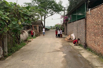 (Siêu Hiếm) Bán 50M² Tại Tân An- Hiền Ninh- Sóc Sơn- Hn. Đường Bìa Làng 6M Ngõ Thông. Nhỉnh Tỉ