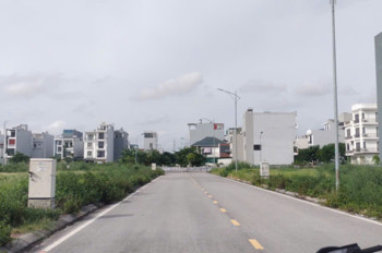 Cần Bán Lô Đất Biệt Thự 345M² Tại Đồng Bồ – Giáp Tđc Đồng Giáp & Đường Hàng Tổng, Hải Phòng