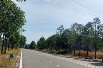 Đất Đẹp – Giá Tốt – Đầu Tư Là Sinh Lời - Bán Đất Mặt Tiền Phường Thới Hòa, Bến Cát, Bình Dương