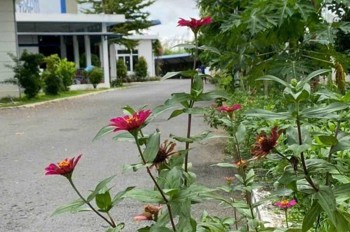 Xt082 Nhà Xưởng Sản Xuất Cho Thuê Lâu Dài, Thu Hút Nhiều Ngành Nghề Theo Qd Kcn