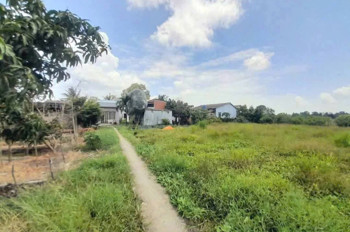 Chủ Bán Thửa Đất Lúa 877M9m2 (Khu Vực Cho Lên Thổ