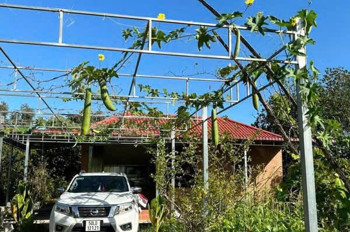 Bán Gấp Vườn Trái Cây Ven Kênh – 1.100M² – Chỉ 4,8Tr/m² – Giá Mềm Hiếm Có