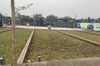 Cơ Hội Sở Hữu Đất Full Thổ Cư 100M² – Đồng Trại, Cổ Đông (Sơn Tây