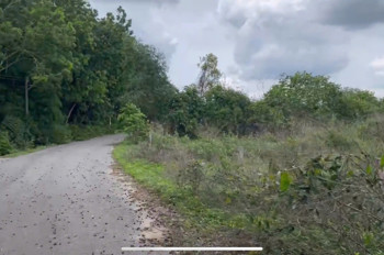 Hot - Bán Gấp Lô Đất 702M² Xã Long Nguyên, Bàu Bàng, Bình Dương – Giá Chỉ 1 Tỷ 250, Bao Sang Tên