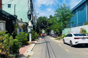 Bán Nhà Cấp 4, Đường Ô Tô Hoàng Văn Thụ - Trung Tâm Quy Nhơn. Mã Số: #Mp0094