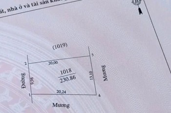 Đất Nền – Giá Tốt – Chính Chủ Cần Bán Lô Đất Tại Xã Hưng Lĩnh, Huyện Hưng Nguyên, Tỉnh Nghệ An