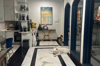 Phố Vip- Mặt Tiền Khủng -Hoa Hậu Tây Hồ Phố Nguyễn Đình Thi 92M 4T Giá 82 Tỷ , Thông -Giá Tốt- Vận