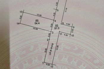 Bán 54.4M2 Đất Thuỵ Lâm Ngay Gần Vin - Ô Tô Vào Đất