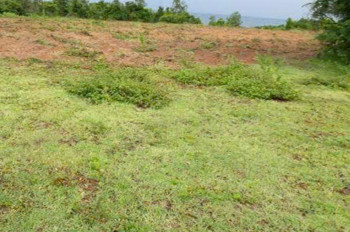 Bán Đất Biển Diện Tích Lớn – Cơ Hội Đầu Tư Hiếm