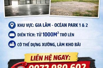 Cần Tìm Gấp Kho Hoặc Đất Dựng Xưởng - Khu Vực Gia Lâm, Ocean Park