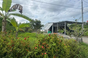 Bán 15000M2 Đất Nông Nghiệp Có Sẵn Nhà Phù Hợp Nghỉ Dưỡng Xã Khánh An, U Minh, Cà Mau