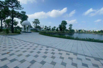 Đất Đầu Tư, Ưu Thế Vượt Trội, Đẳng Cấp Vượt Thời Gian