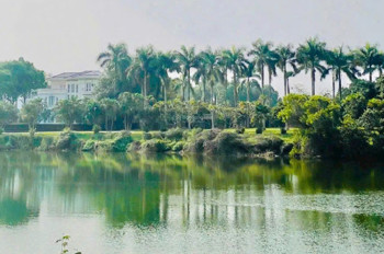 Lô Đất Đắc Địa Hòa Lạc, View Hồ Phong Thủy, Gần Fpt & Khu Công Nghệ Cao