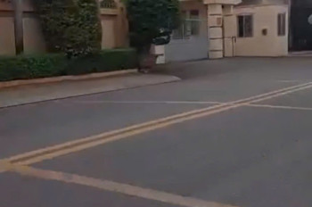 Mặt Tiền Lê Lợi – Ngang 10M Hiếm – 4 Tầng + Sân Thượng – 11 Phòng