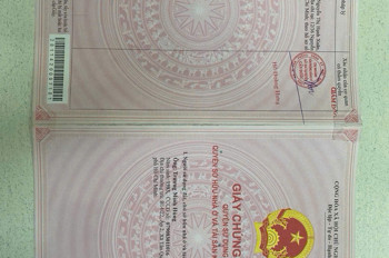 Chính Chủ Cần Bán Gấp 5 Lô Đất Thổ Cư Liền Kề Tại Long An – Giá Tốt Do Định Cư Mỹ