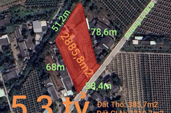 Bán Đất Thổ Vườn Đường Lộ Dừa Giá 5,3 Tỷ