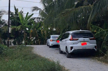 Chính Chủ Bán Đất Thổ Cư Gần Lộ Dừa – Vĩnh Công, Châu Thành, Long An