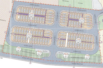 97 Lô Đất Kdc Tân Hóa Quỳnh Hội - Giá Chỉ Từ 1Ty2xx - Liên Hệ Em: 0332 919 293