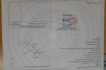 Đất Đẹp- Giá Tốt Chính Chủ Cần Bán Nhanh Lô Đất Tiềm Năng Tại Huyện Tam Nông, Phú Thọ