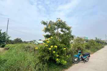 Chính Chủ Hạ Giá, Cần Bán Gấp Đất Đẹp Xã Đức Hoà Đông, Gần Đường 823D Mở Rộng Giá Cực Tốt