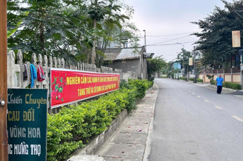 Bán Đất Tại Khu Phố Hàm Hạ, 1,4 Tỷ, 100M2, Mặt Tiền 12M Uy Tín