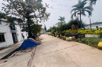 Nhà 2Mt Hẻm- Chỉ 3Ty2- 88M2- Ngang Nở Hậu- View Sông- Cv Thoáng Mát