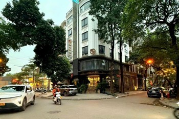 Bán Biệt Kđt Trung Hòa - Cầu Giấy - 281M2 - 5T - Mt 9M - Lô Góc Kinh Doanh - Dòng Tiền 1 Tỷ/năm