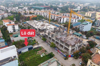 Chính Chủ Bán Rẻ 100M2. Phú Cát / Hòa Lạc / Hà Nội. Cạnh 30 Trg Đại Học Và Khu Công Nghệ Cao. Lh
