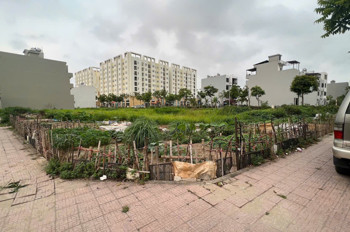 Hàng Hiếm Bán Đất Lô Góc Đẹp Rộng Gần 130M2 Ngay Khu C - Kdt Vũ Phúc Sầm Uất