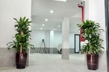 Bán Tòa Apartment Vương Thừa Vũ - Thanh Xuân - 95M2 - 7 Tầng Tm - Mt 8.4M - Dòng Tiền 1.5 Tỷ/năm