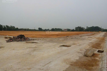 Đột Phá Lô Đất100m2 Bình Yên,Trung Tâm Hoà Lạc Phù Hợp Xây Trọ,Đầu Tư Sinh Lời, Kết Nối Metro 5 