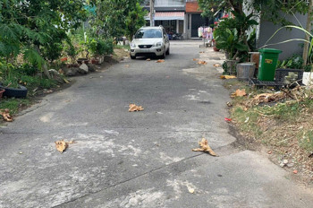 Xưởng Sẵn Xuân Thới Đông, Hóc Môn – Ngang 9M – Chỉ 6.3 Tỷ Vị Trí Đẹp