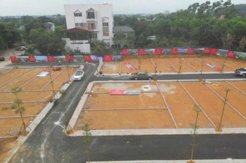 Cơ Hội Có Một Không Hai: Sở Hữu Ngay Lô Đất Với Mức Giá Không Tưởng!