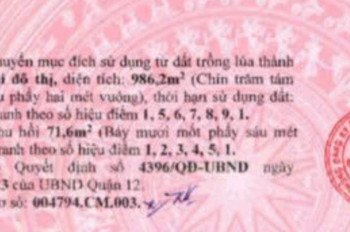 Siêu Phẩm 986M² Thổ Cư – Mặt Tiền Đông Hưng Thuận 10B – Ngang 20M