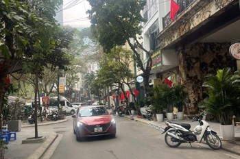 Bán Nguyễn Chánh - Cầu Giấy - 65M2 - Mt 4,6M - 5 Tầng - View Sân Chơi - Giá 29.5 Tỷ