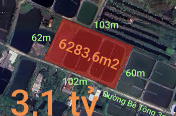 Bán Gấp Lô Lúa Chuyển Thổ Phân Lô Giá Đầu Tư 3,1 Tỷ